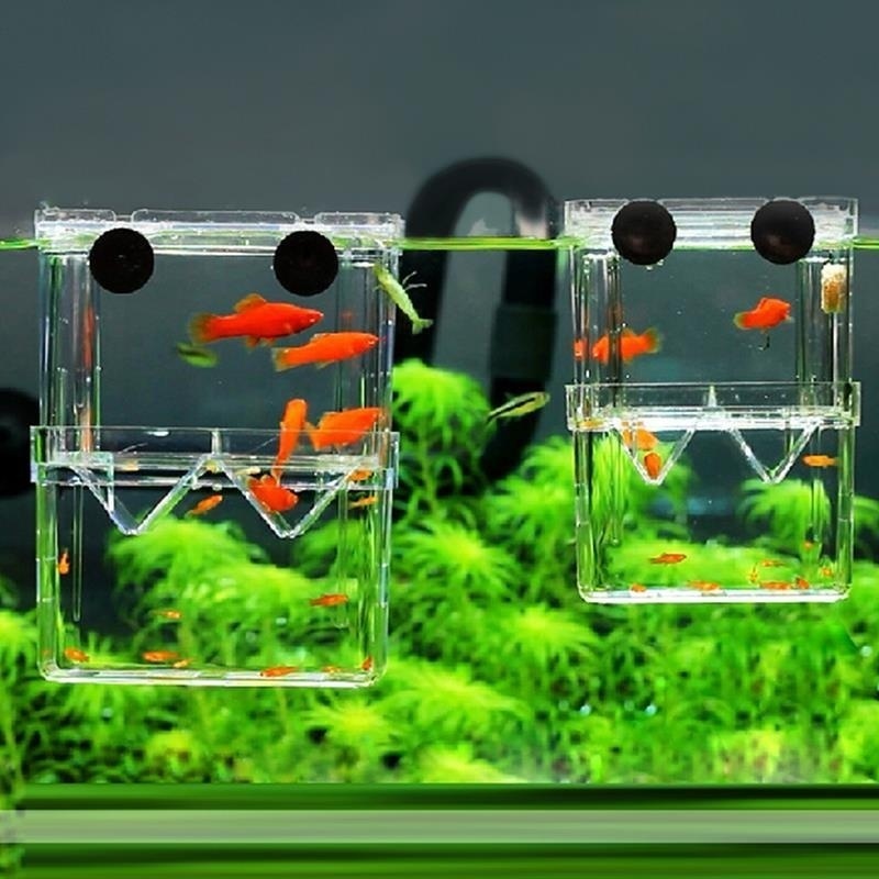 Lab Incubator - Multifunctional Fish Aquarium High Clear Fish