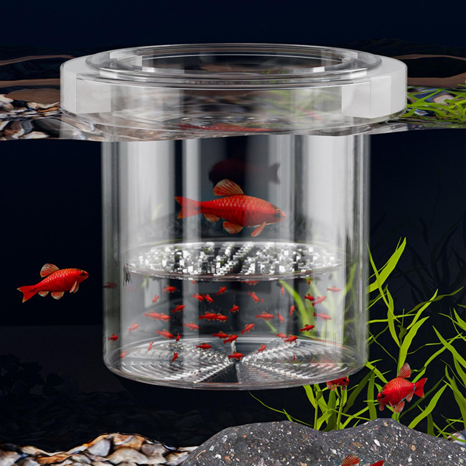 Durable Fish Breeder Box Fish  - Lab Incubator review and price