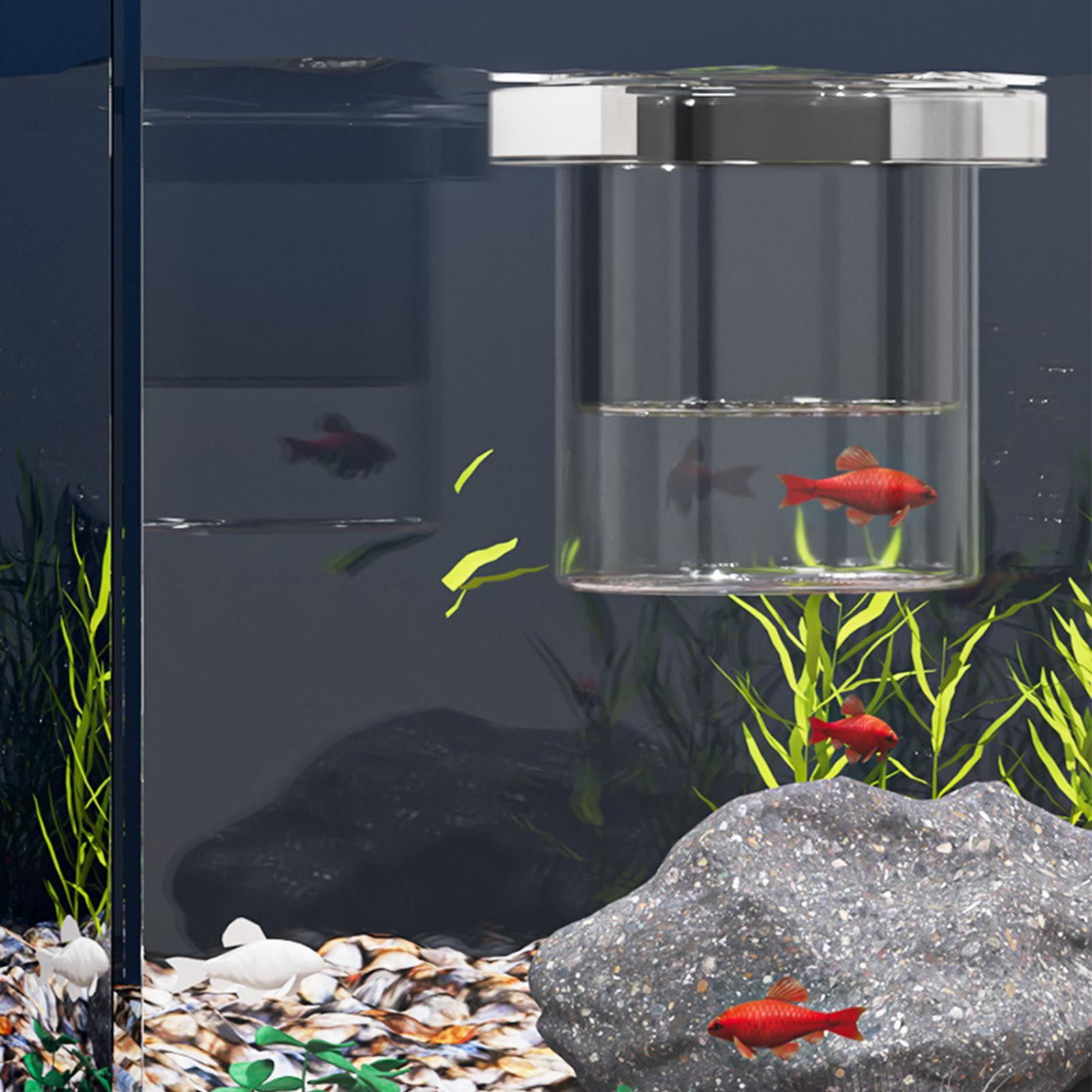 Durable Fish Breeder Box Fish  - Lab Incubator review and price