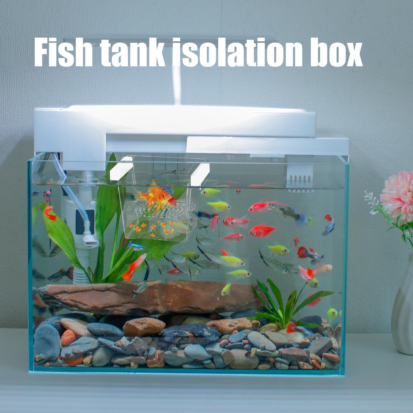 Durable Fish Breeder Box Fish  - Lab Incubator review and price