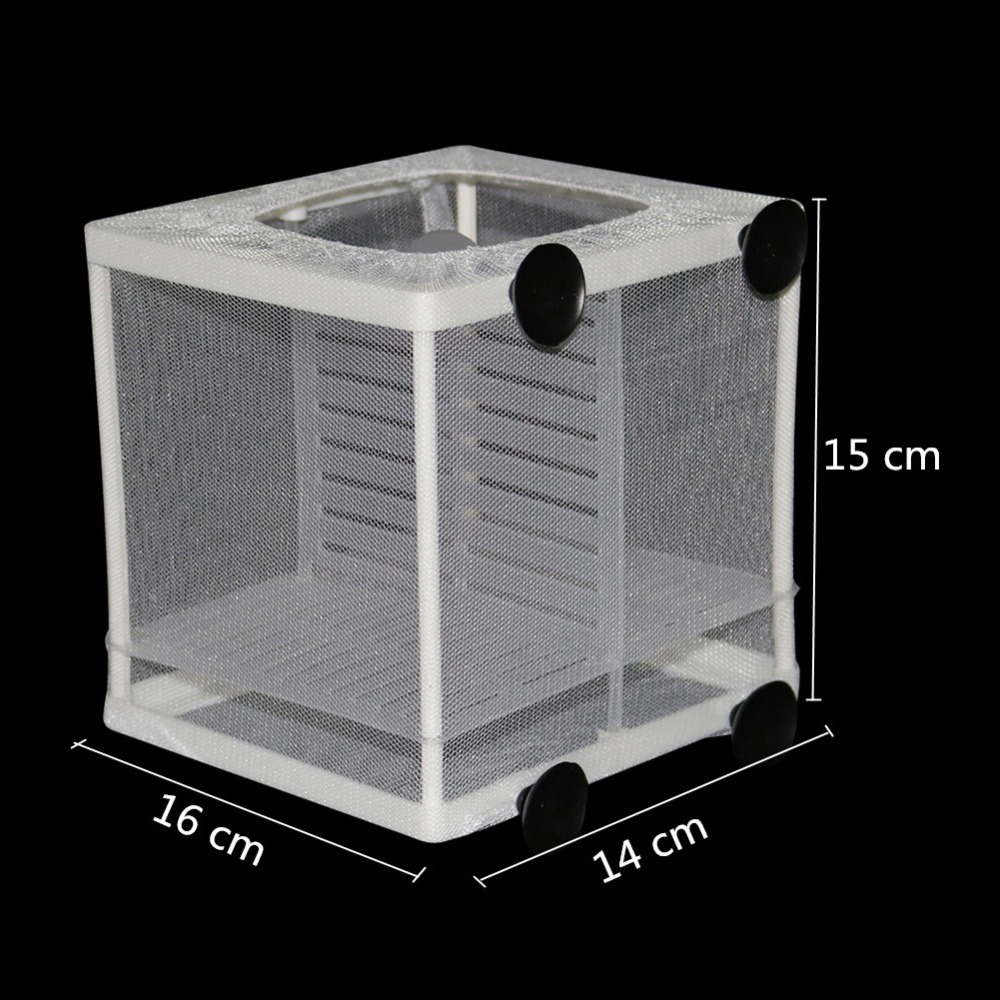 1 Pcs Fish Breeding Incubator  - Lab Incubator review and price