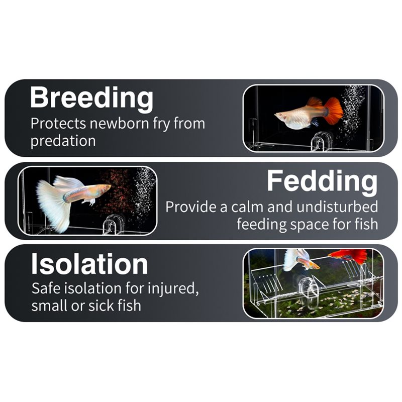 A25F-Baby Fish Breeding Box Cl - Lab Incubator review and price