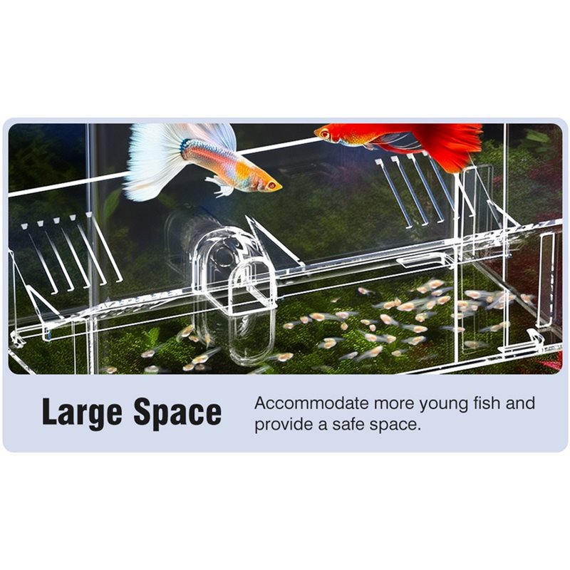 A25F-Baby Fish Breeding Box Cl - Lab Incubator review and price