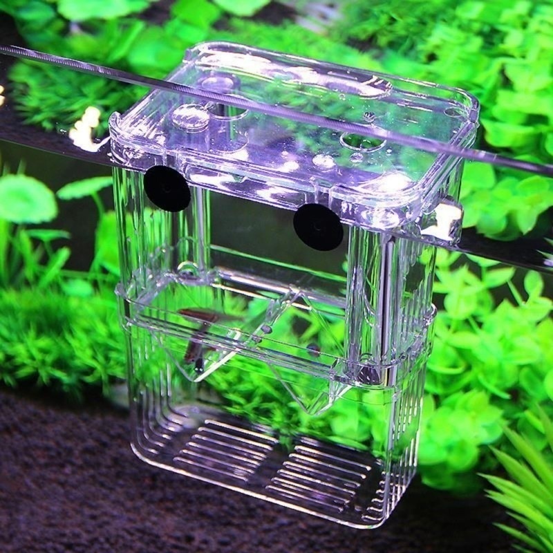 Multifunctional Fish Aquarium  - Lab Incubator review and price