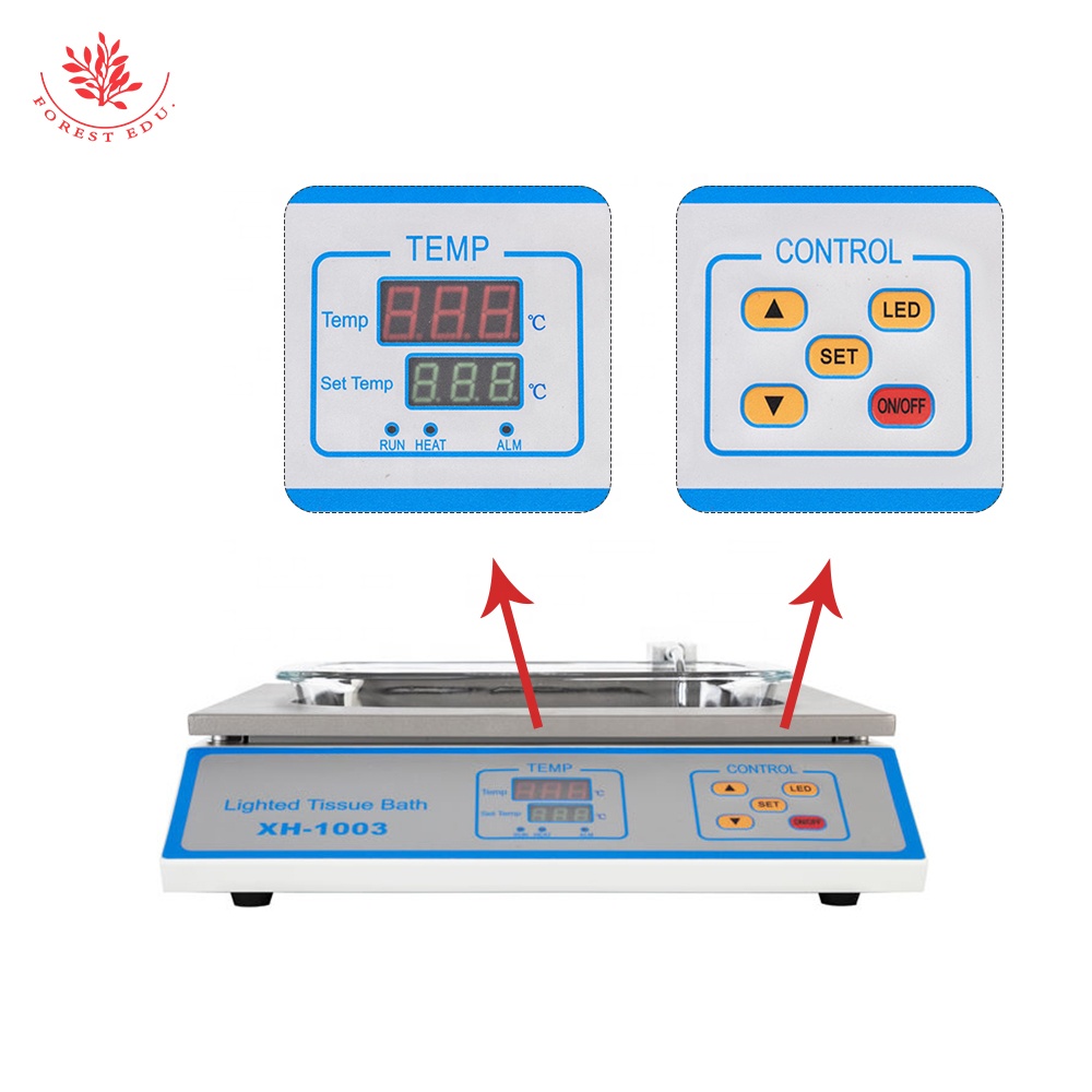 Lighted Tissue Water Bath Proc - Water Bath Laboratory review and price