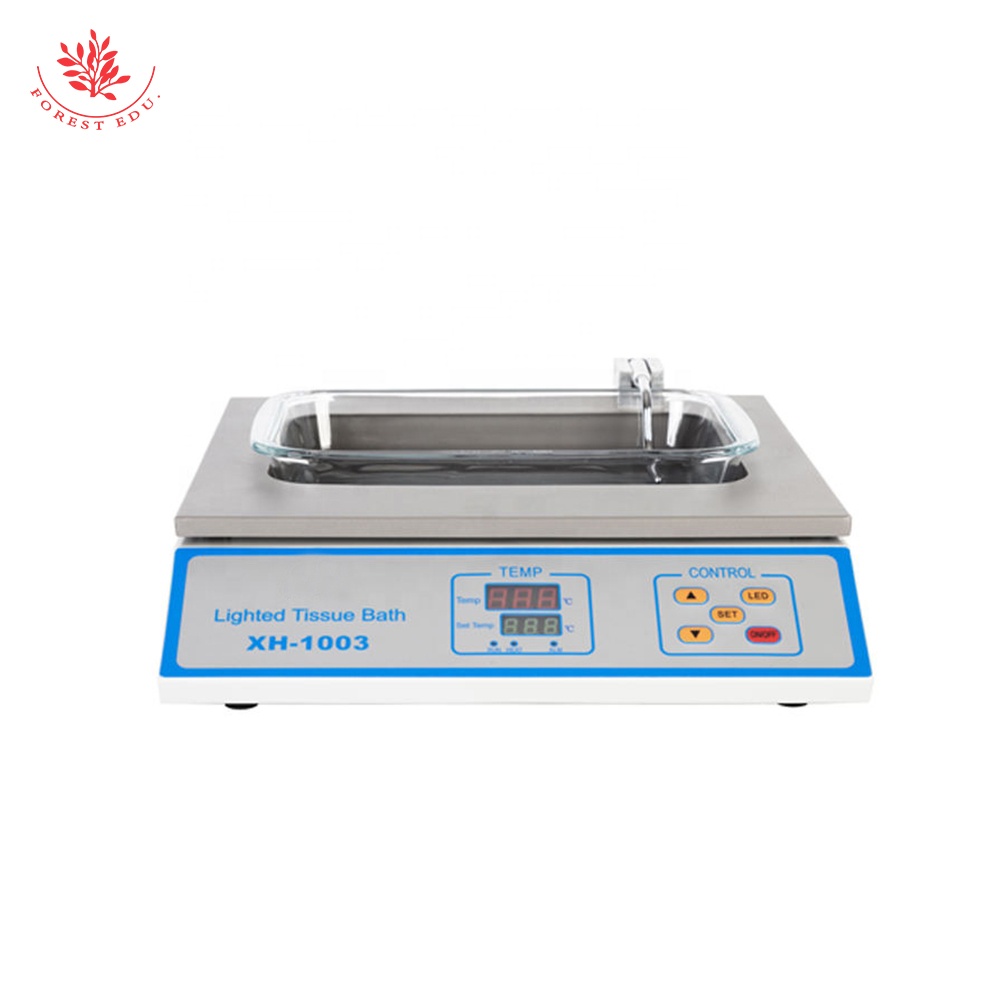 Lighted Tissue Water Bath Proc - Water Bath Laboratory review and price
