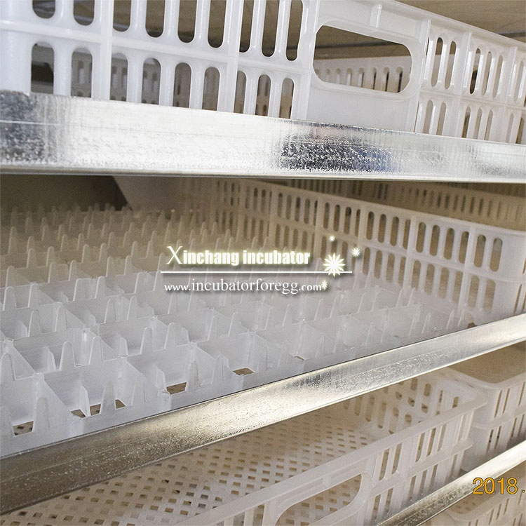 5000 Eggs   Machines for Small - Lab Incubator review and price