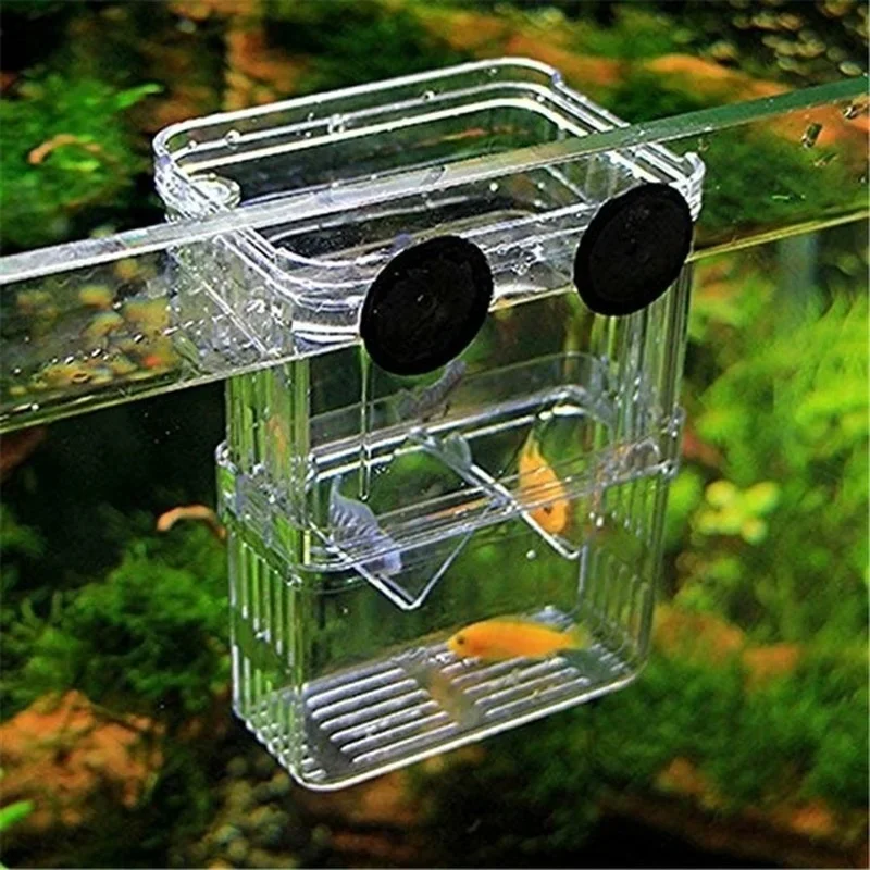 Multifunctional Fish Aquarium  - Lab Incubator review and price
