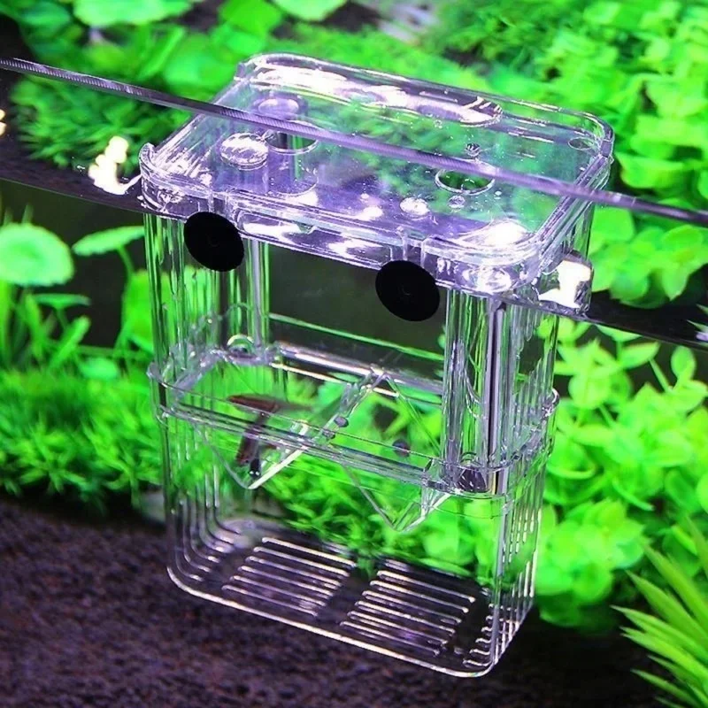 Multifunctional Fish Aquarium  - Lab Incubator review and price