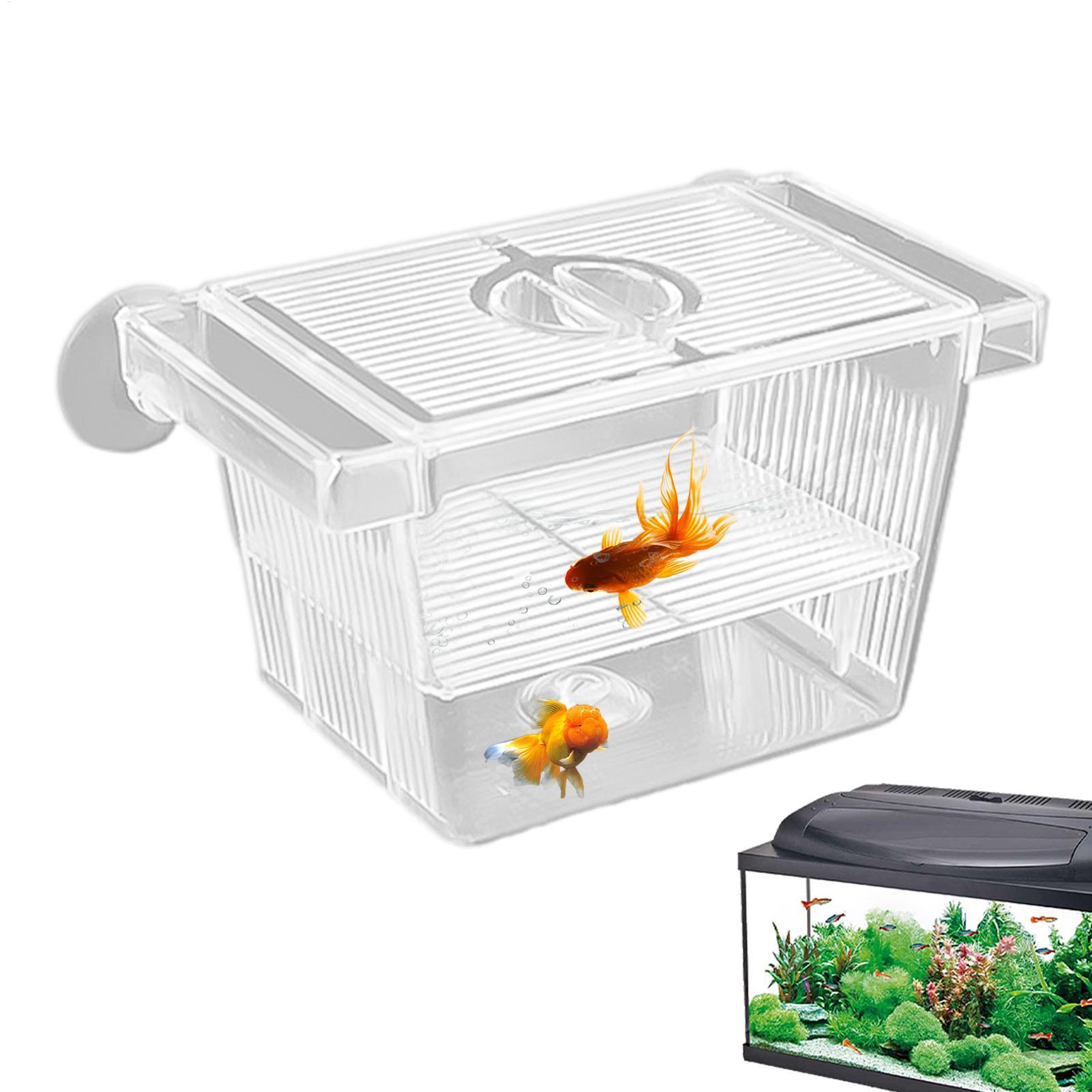 Aquarium Hatchery Acrylic Isol - Lab Incubator review and price