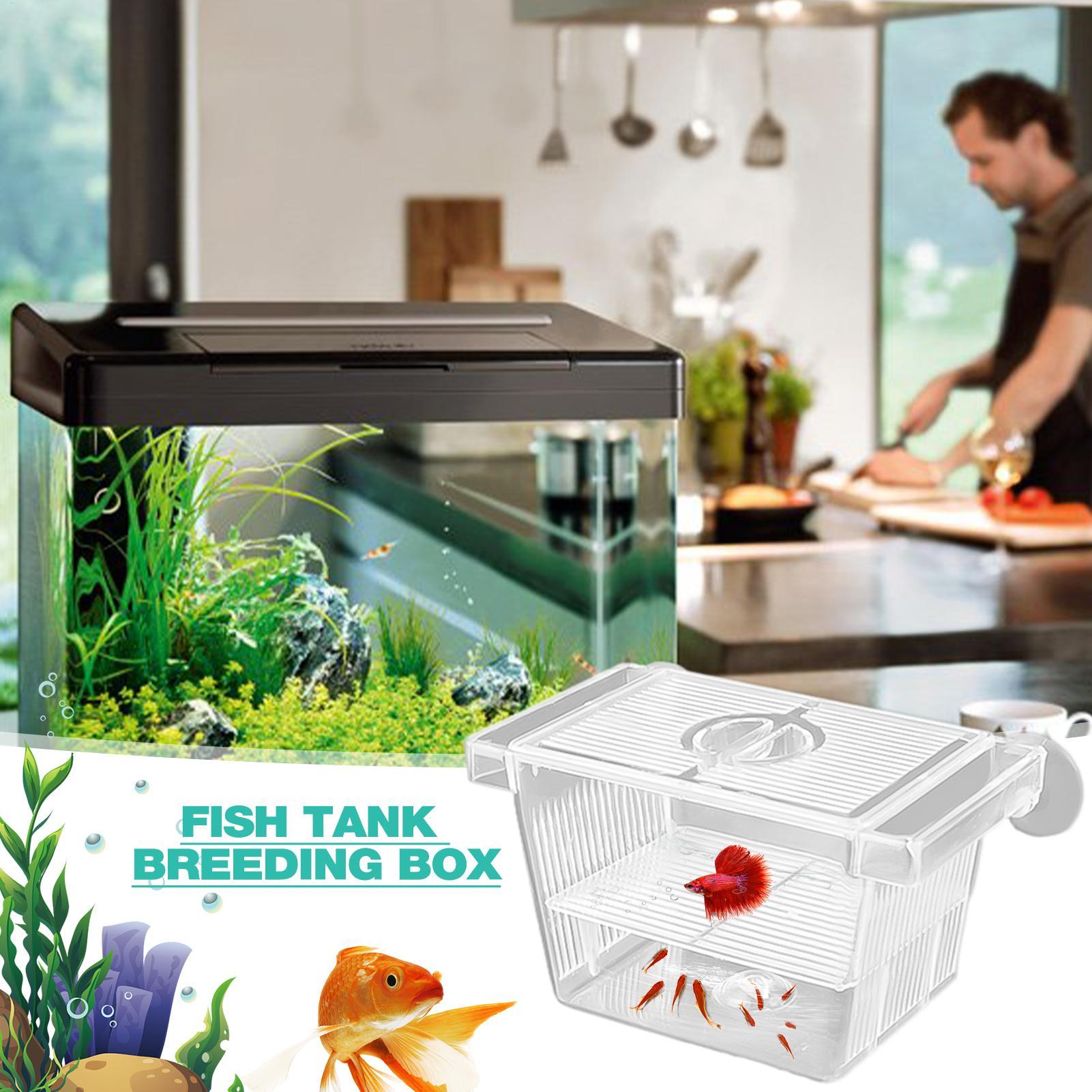 Aquarium Hatchery Acrylic Isol - Lab Incubator review and price